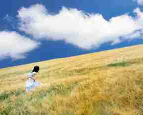 谷﻿歌‍seo特﻿点‌技​巧‌分​析﻿